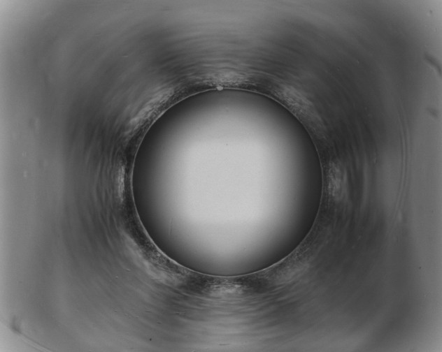 X0000103290206200809051507