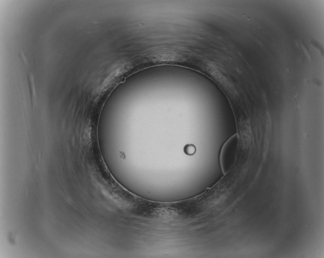 X0000103290207200809051507