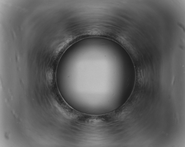 X0000103290208200809051507