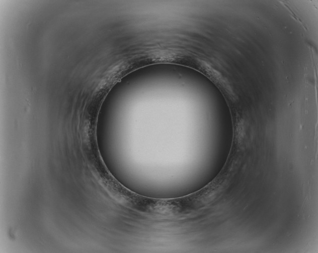 X0000103290209200809051507