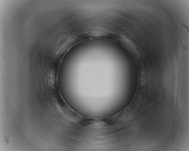 X0000103290210200809051507