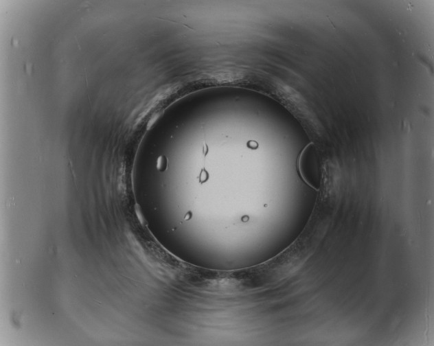 X0000103290212200809051507