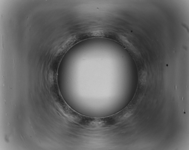 X0000103290213200809051507