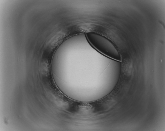 X0000103290215200809051507