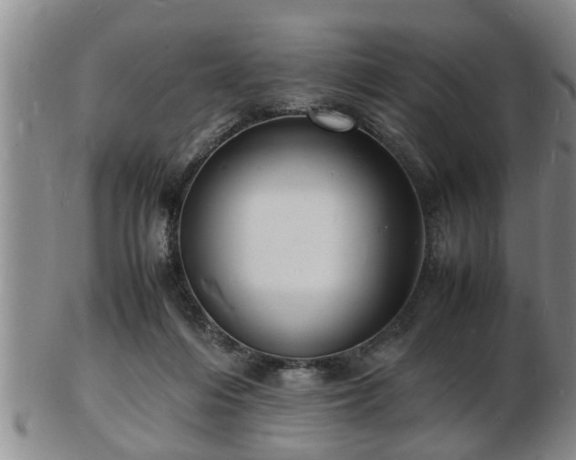 X0000103290216200809051507