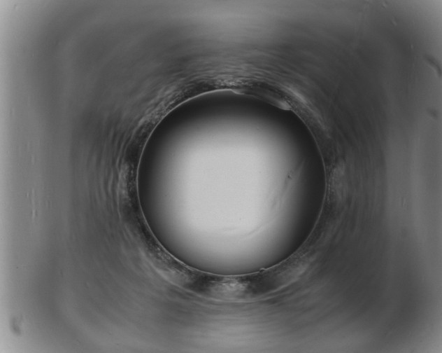 X0000103290217200809051507