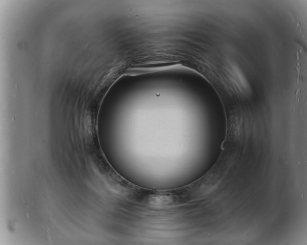 X0000103290220200809051507