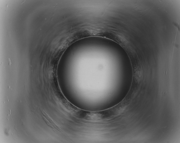 X0000103290221200809051507