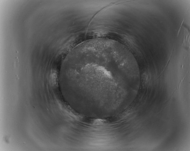 X0000103290222200809051507