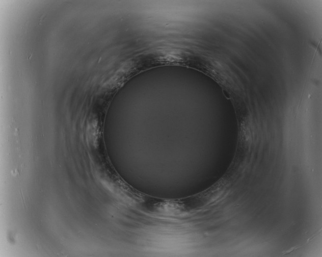 X0000103290223200809051507