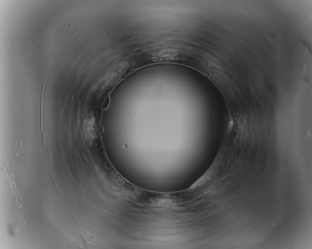 X0000103290224200809051507