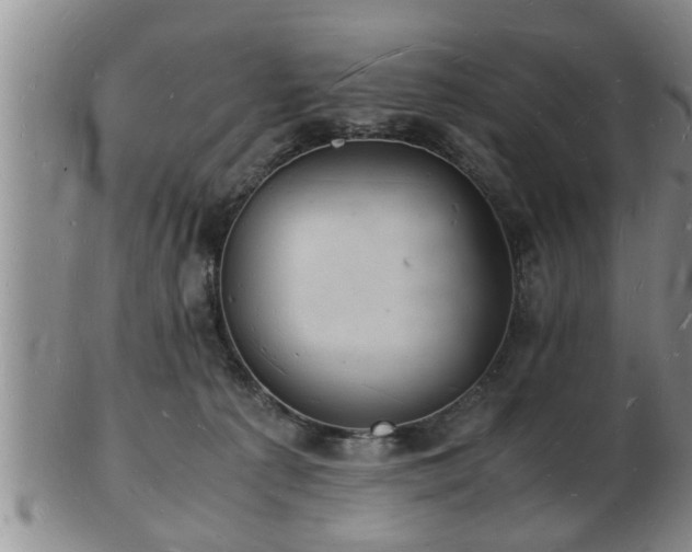 X0000103290225200809051507