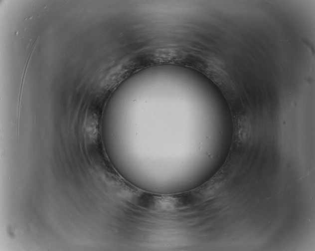 X0000103290226200809051507