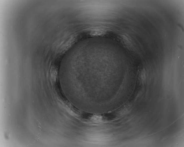 X0000103290227200809051507