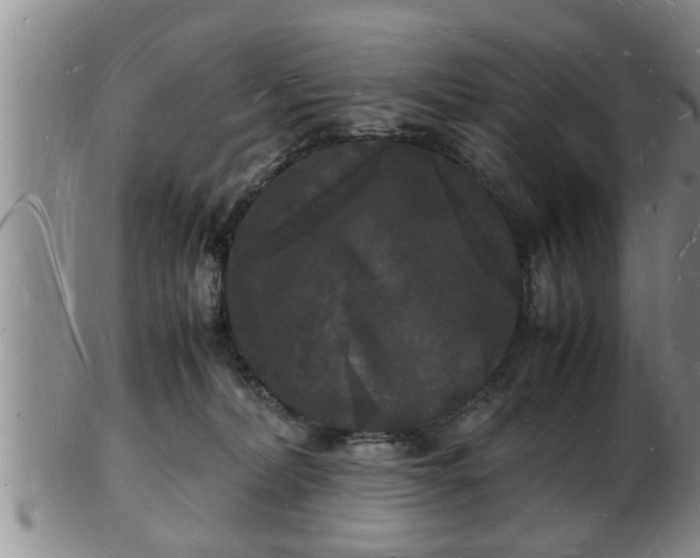 X0000103290228200809051507