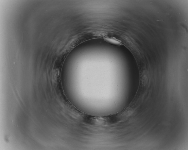 X0000103290229200809051507