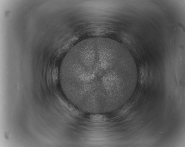 X0000103290230200809051507