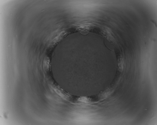 X0000103290231200809051507