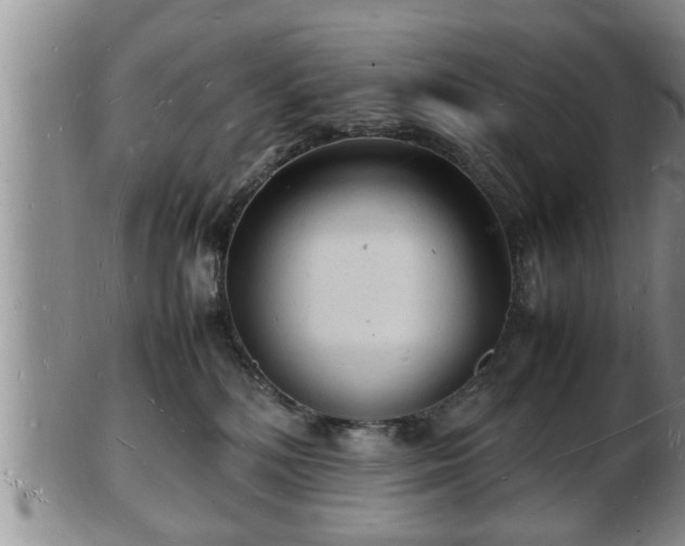 X0000103290232200809051507