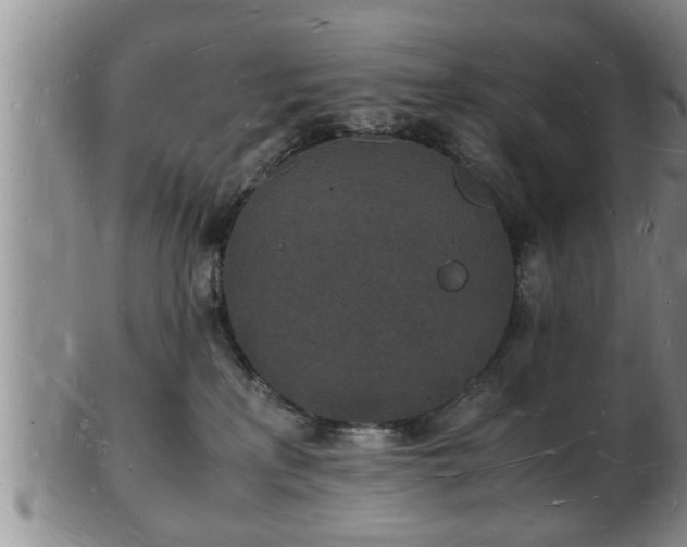 X0000103290233200809051507