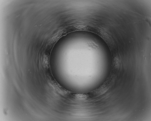 X0000103290234200809051507