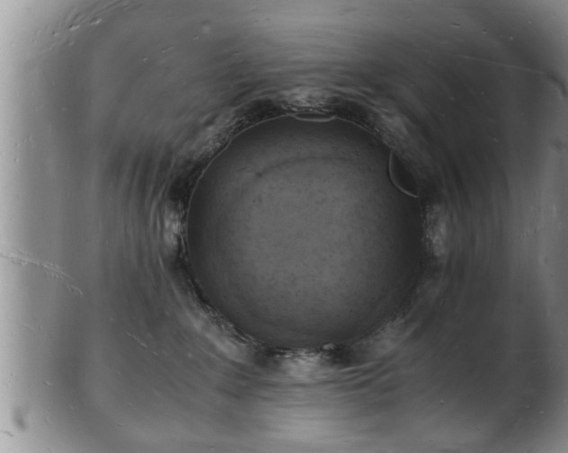 X0000103290235200809051507