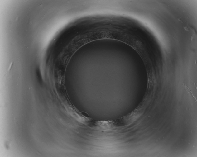 X0000103290239200809051507