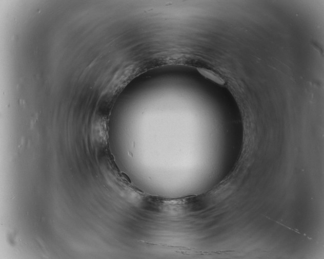 X0000103290240200809051507