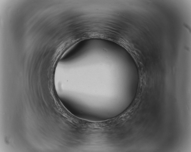 X0000103290241200809051506