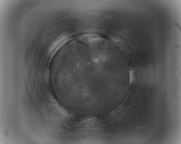 X0000103290243200809051506