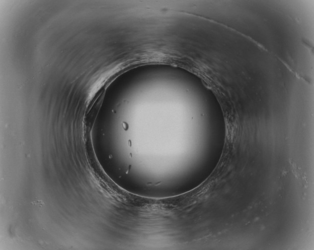 X0000103290244200809051506