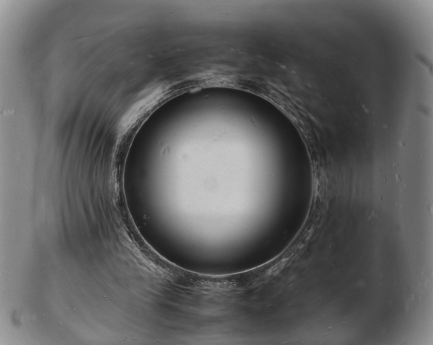 X0000103290245200809051506