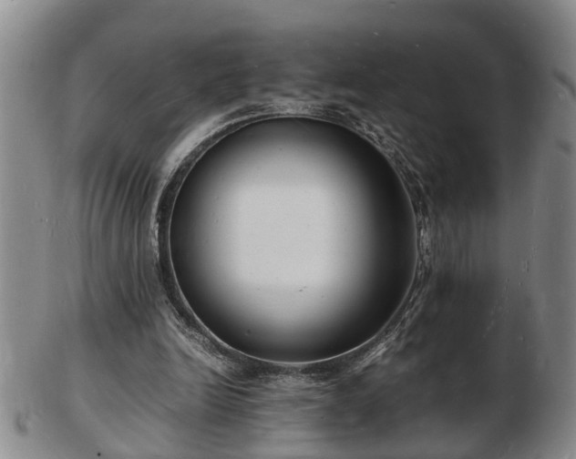 X0000103290246200809051506