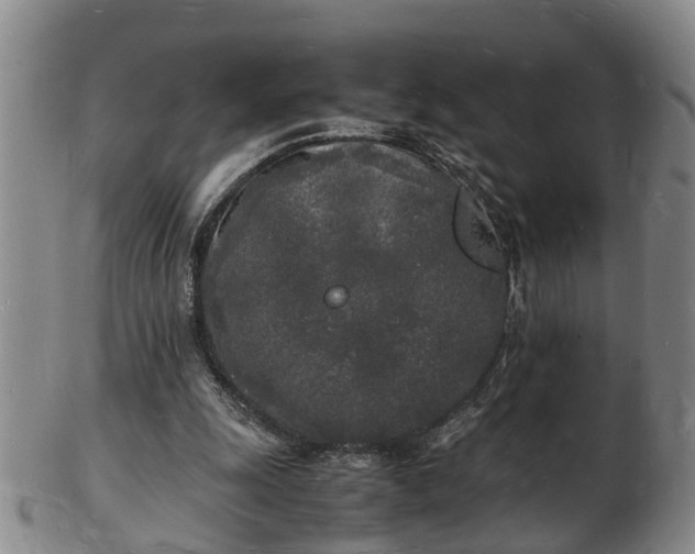 X0000103290247200809051506