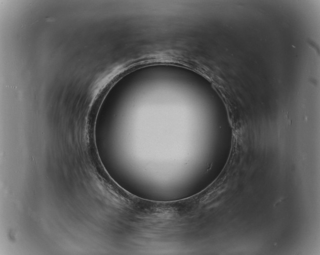 X0000103290248200809051506