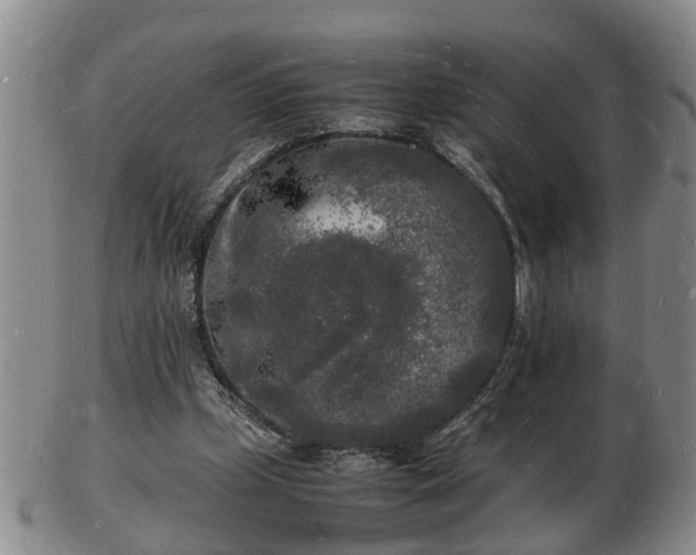 X0000103290249200809051506