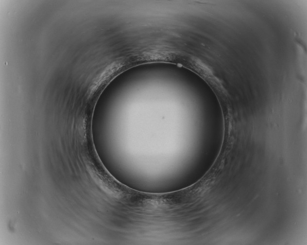 X0000103290250200809051506