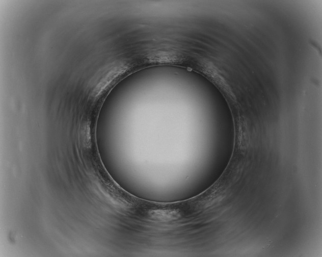 X0000103290251200809051506