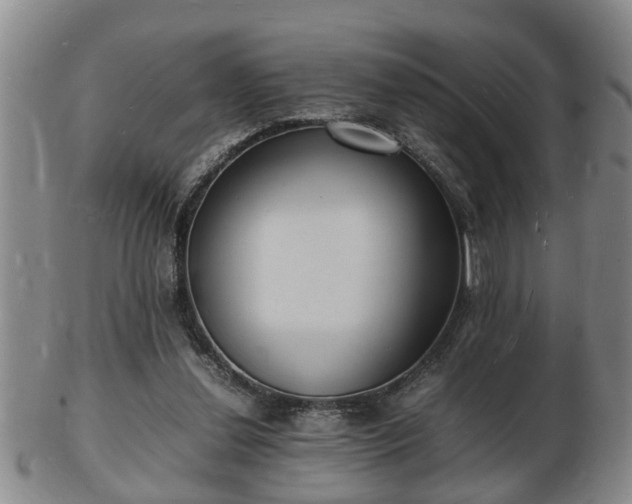 X0000103290252200809051506