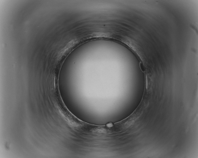 X0000103290253200809051506