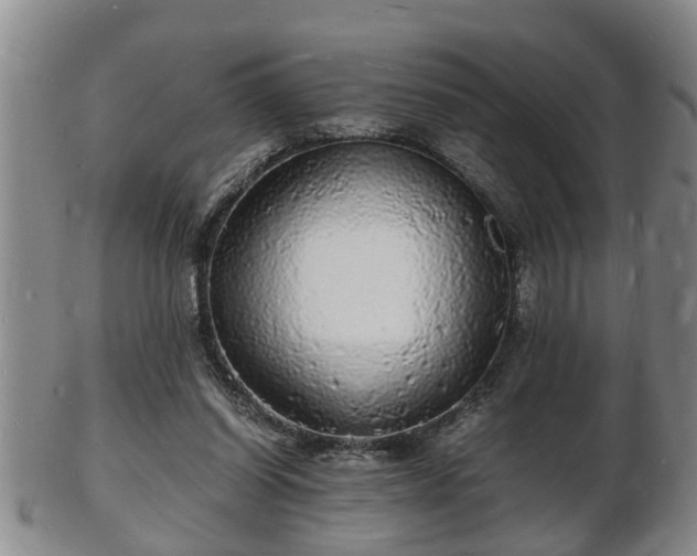 X0000103290254200809051506