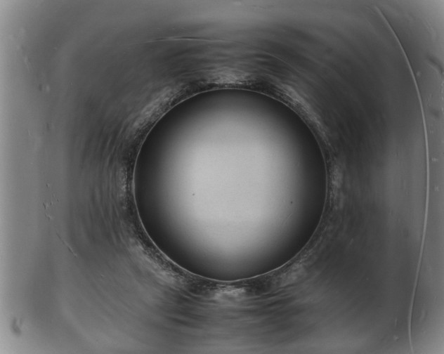 X0000103290257200809051506