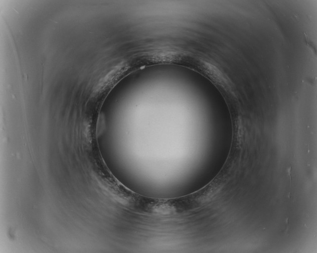 X0000103290258200809051506