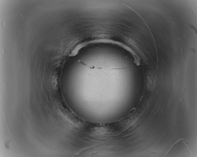 X0000103290259200809051506