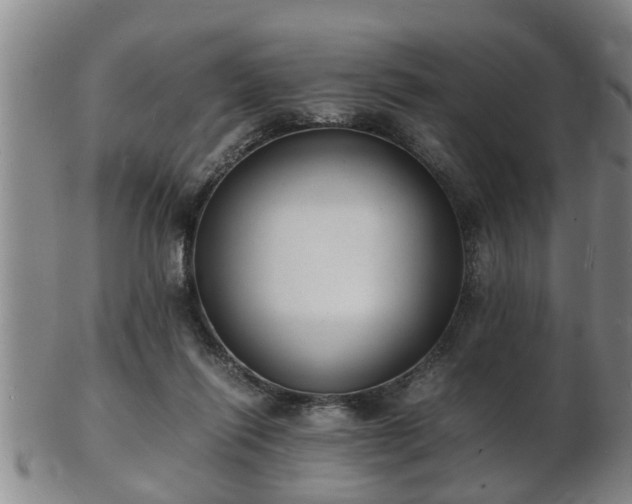 X0000103290262200809051506