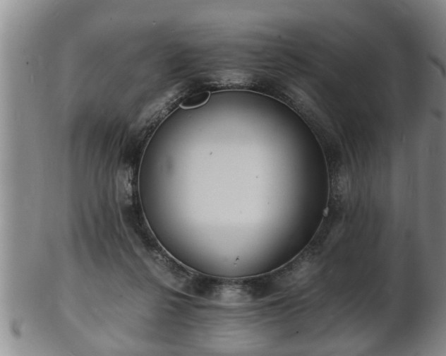 X0000103290264200809051506