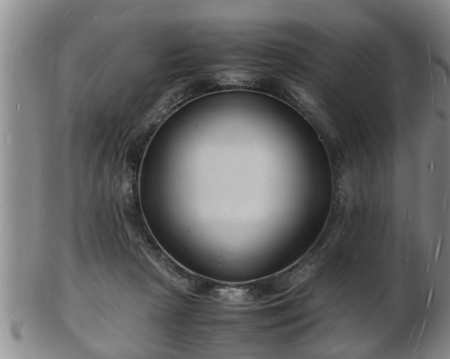 X0000103290265200809051506