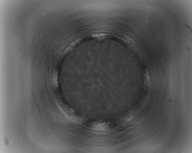 X0000103290267200809051506