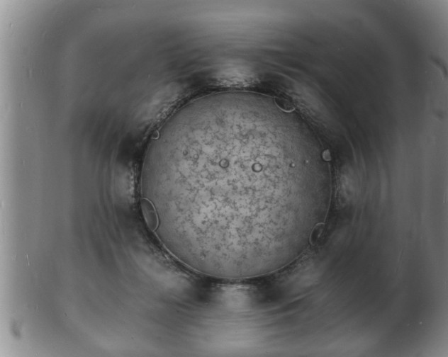 X0000103290268200809051506