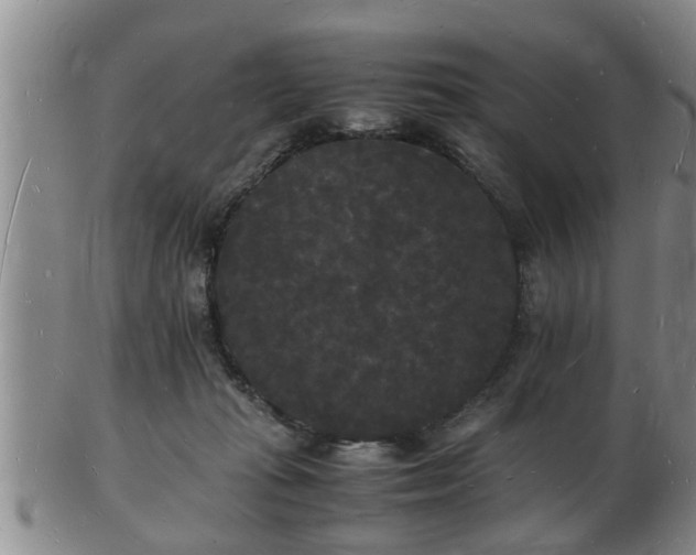 X0000103290269200809051506